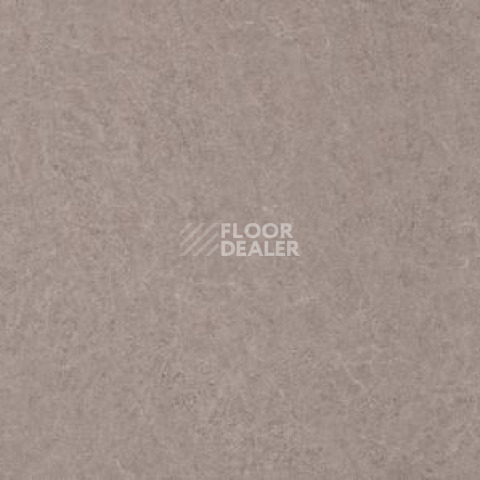 Ecoclick Stone замковый 4.2мм NOX-1652 Чогори фото 2 | FLOORDEALER